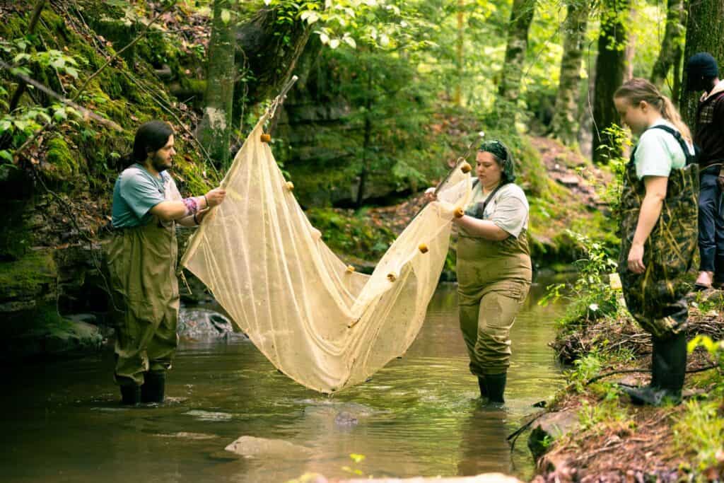University of North Alabama biology students explore a river using a net.